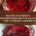 hummingbird nectar recipe