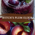 Witch’s Plum Elixir