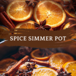 Delicious Holiday Spice Simmer Pot