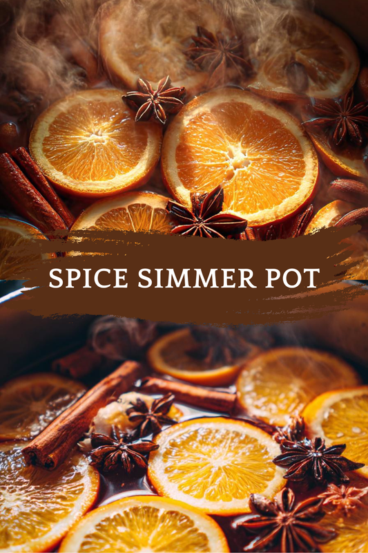 Delicious Holiday Spice Simmer Pot